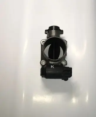 Toyota Land Cruiser (J120) Throttle valve 1923002010