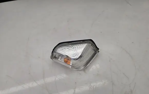 Mercedes-Benz Sprinter W906 Mirror indicator light 19870102