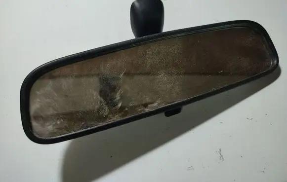 Hyundai Santa Fe Rear view mirror (interior)