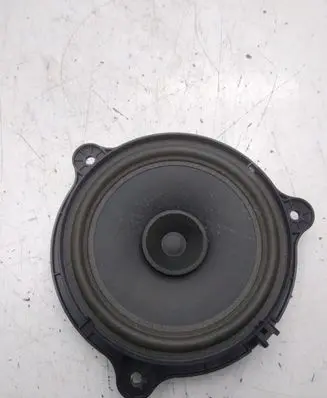 Rear door speaker