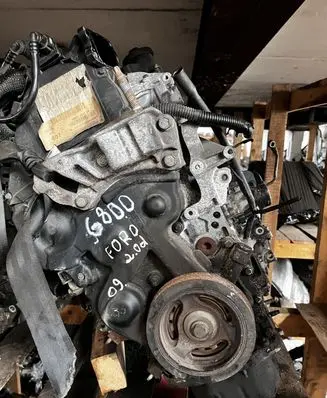 Ford Focus Engine G8DD