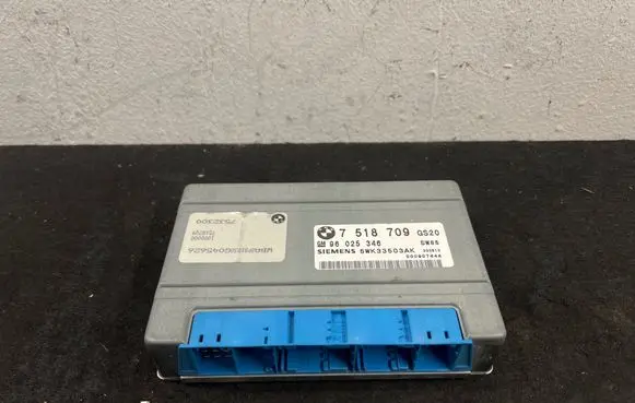BMW 5 E39 Gearbox control unit/module 7518709 5WK33503AK 96025346