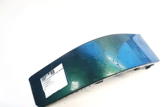 Rear/tail light trim molding