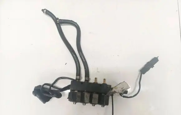 Volkswagen PASSAT B5 LP gas injector 