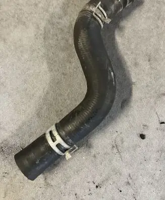 Nissan Primera Engine coolant pipe/hose