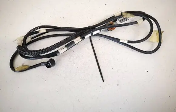 Other wiring loom