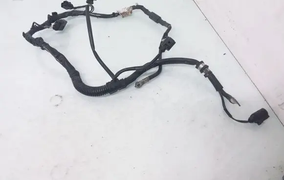 Volkswagen PASSAT B6 Wires (generator/alternator) 