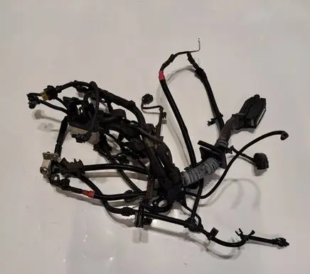 BMW X1 F48 F49 Engine installation wiring loom 