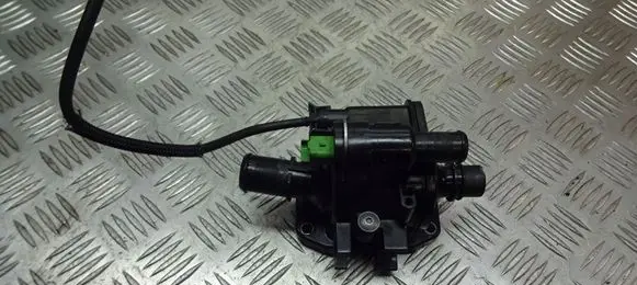 Peugeot 206 Thermostat/thermostat housing 9671565980