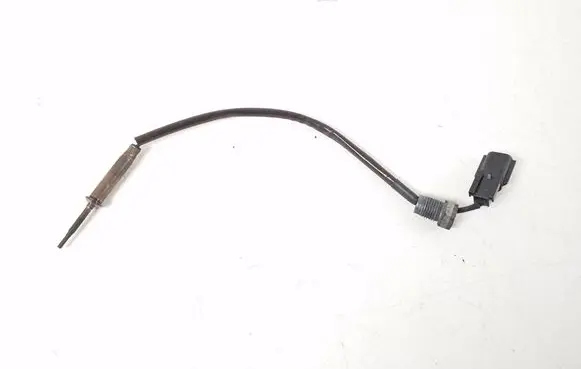 Renault Kadjar Exhaust gas temperature sensor