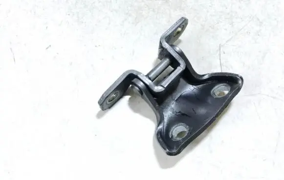 Hyundai XG Rear door lower hinge