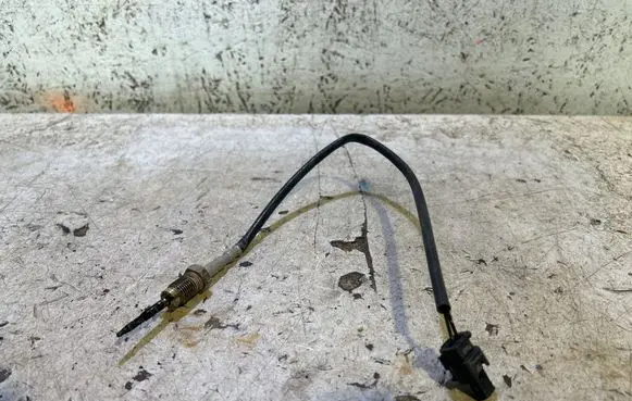 BMW 4 F32 F33 Exhaust gas temperature sensor 2656001902