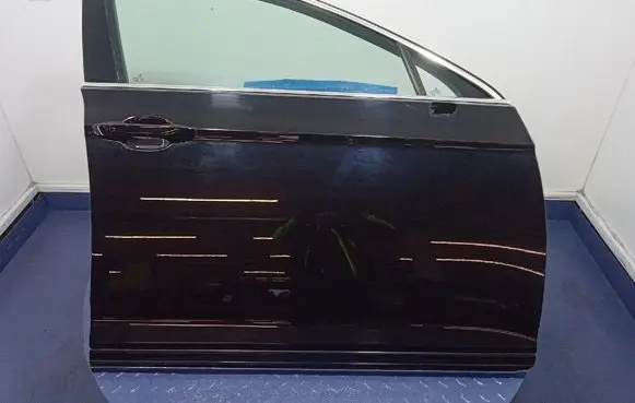 Volkswagen PASSAT CC Front door 