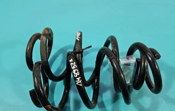 Rear coil spring