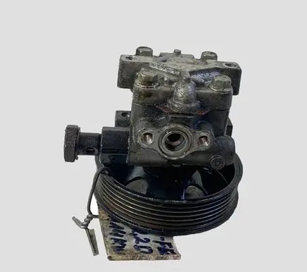 Hyundai Santa Fe Power steering pump