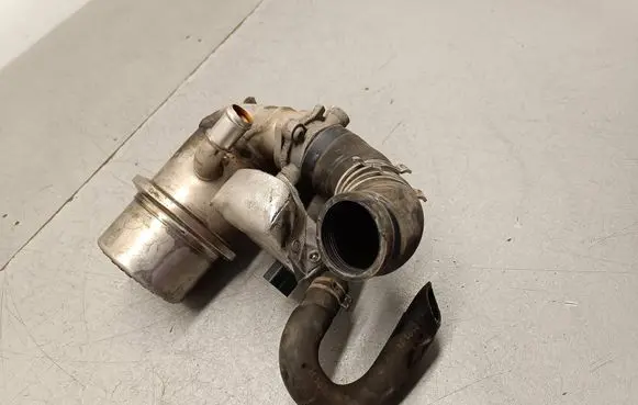EGR valve