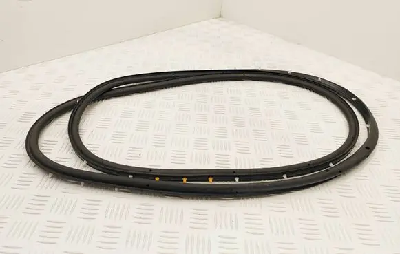 Renault Scenic E-Tech V Rubber seal front door (on door)