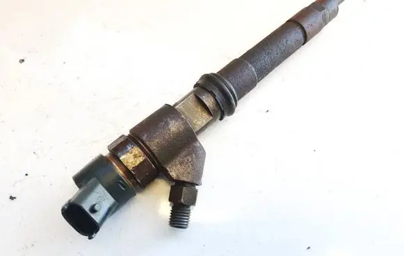 Fiat Ducato Fuel injector 0445120011