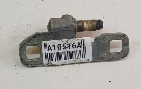 Tailgate/trunk/boot hinge