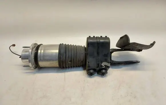 Porsche Taycan 9J1 Front shock absorber/damper 9J1616037EJLK01