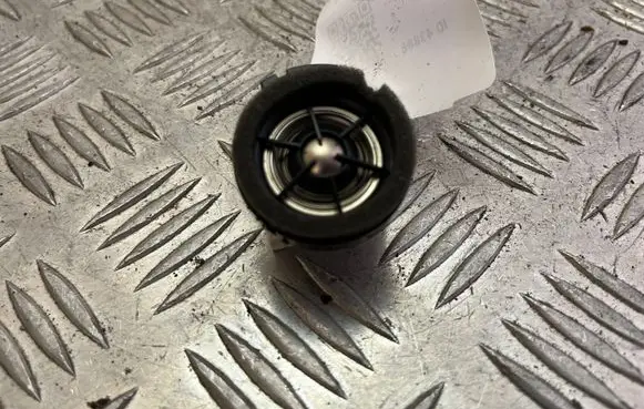 Front door high frequency speaker