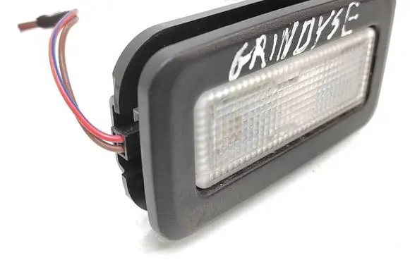 BMW X5 E70 Rear seat light 0005676021 9130838