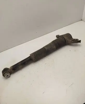 Land Rover Discovery Sport Rear shock absorber/damper FK7210A116