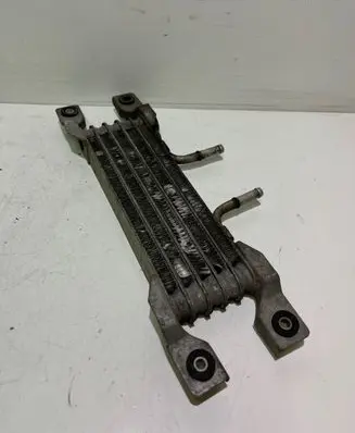 Opel Antara Optional radiator 