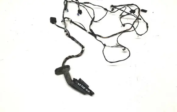 BMW X3 F25 Front door wiring loom