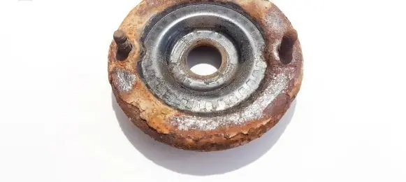 Coil spring mount