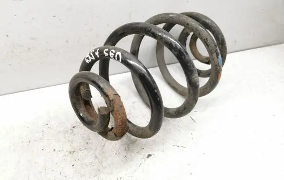 Volkswagen PASSAT B5.5 Rear coil spring