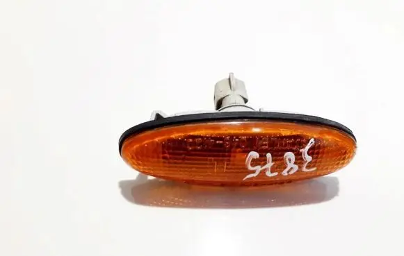 Front fender indicator light