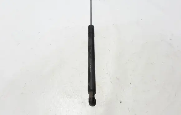 Renault Laguna III Tailgate strut 844300006R