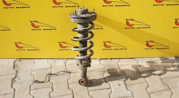 Lincoln Navigator Rear shock absorber with coil spring LINCOLN-NAVIGATOR