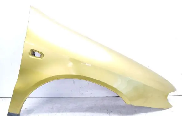 Citroen Xsara Fender