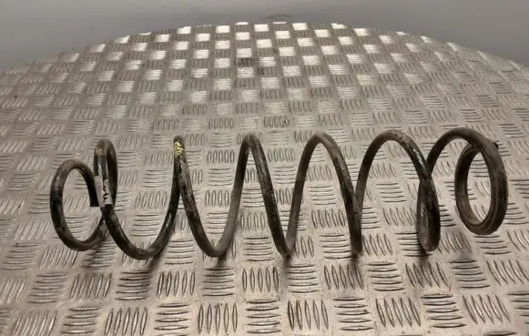 Renault Laguna II Rear coil spring