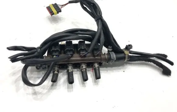 Volvo S80 LP gas injector 