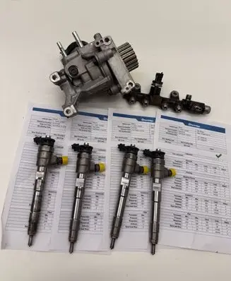 Dacia Lodgy Fuel injection system set 166007427R 167003606R 0445876882