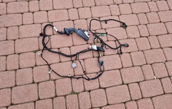 Opel Insignia B Front door wiring loom 39152990