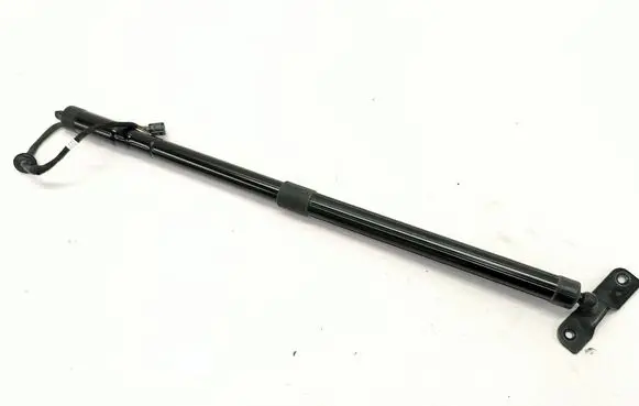 Tailgate/trunk strut/damper