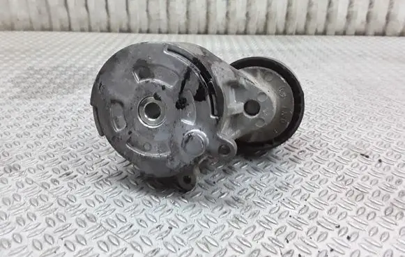 Citroen C5 Generator/alternator belt tensioner T38371