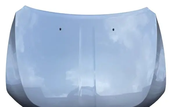 Engine bonnet/hood