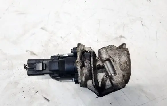 Peugeot 407 EGR valve