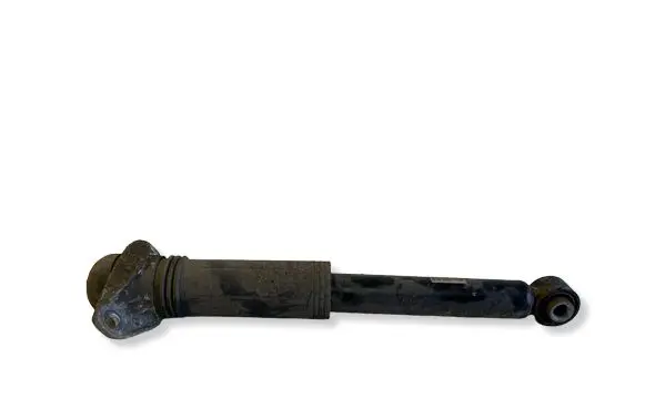 Toyota C-HR II Rear shock absorber/damper 48530F4240