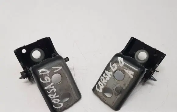 Opel Corsa F Rear door hinge set 