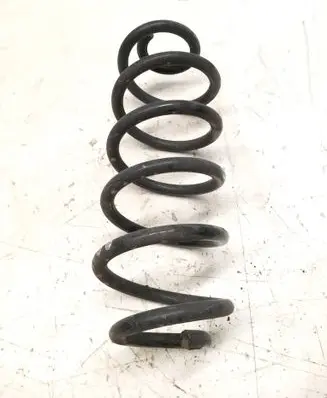 Rear coil spring