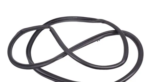 Lexus NX Rubber seal rear door 