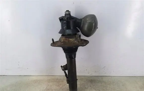 Citroen C5 Front shock absorber with coil spring