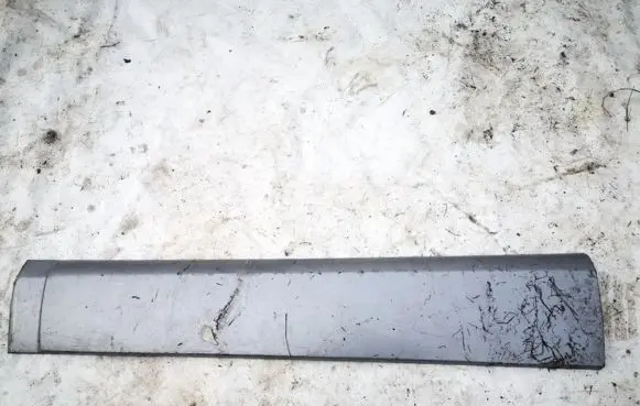 Front door trim (molding)