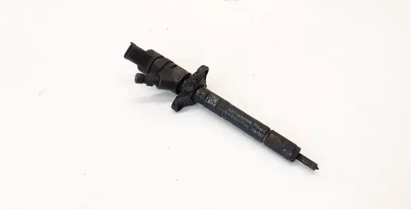Ford Focus Fuel injector 0445110259